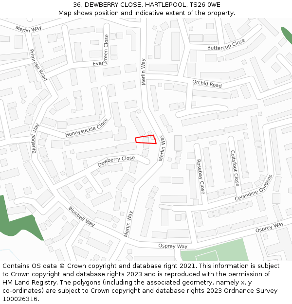 36, DEWBERRY CLOSE, HARTLEPOOL, TS26 0WE: Location map and indicative extent of plot