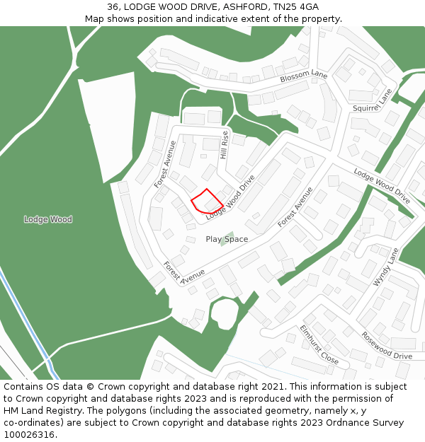 36, LODGE WOOD DRIVE, ASHFORD, TN25 4GA: Location map and indicative extent of plot