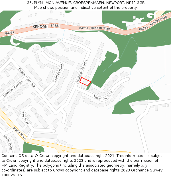 36, PLYNLIMON AVENUE, CROESPENMAEN, NEWPORT, NP11 3GR: Location map and indicative extent of plot