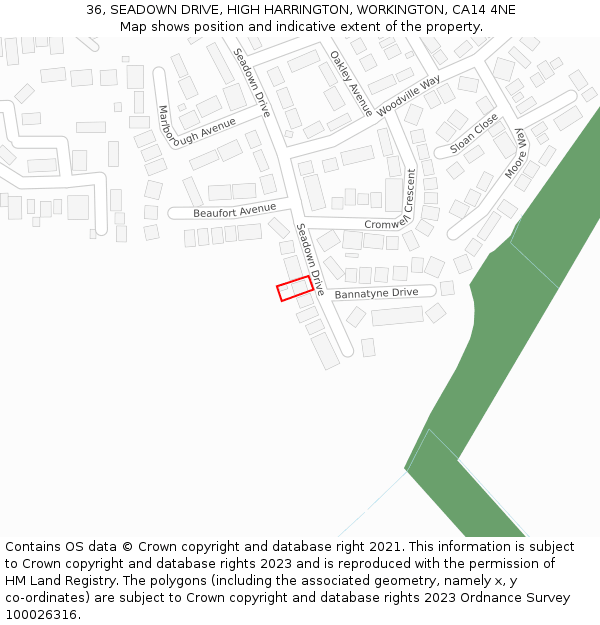 36, SEADOWN DRIVE, HIGH HARRINGTON, WORKINGTON, CA14 4NE: Location map and indicative extent of plot