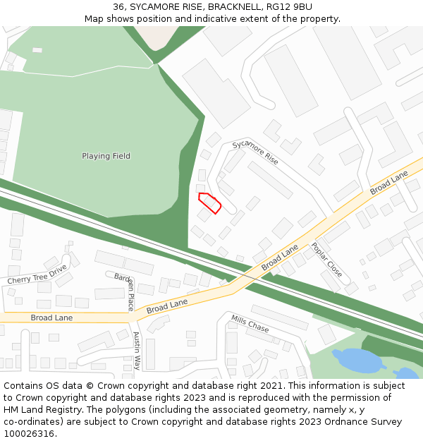 36, SYCAMORE RISE, BRACKNELL, RG12 9BU: Location map and indicative extent of plot