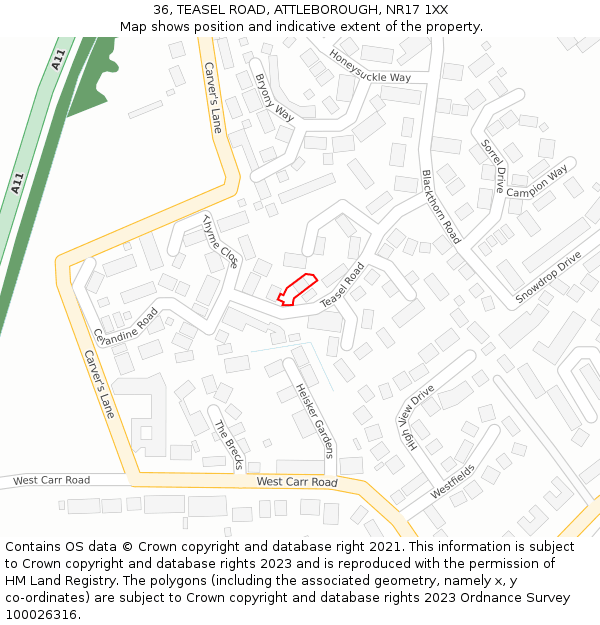 36, TEASEL ROAD, ATTLEBOROUGH, NR17 1XX: Location map and indicative extent of plot