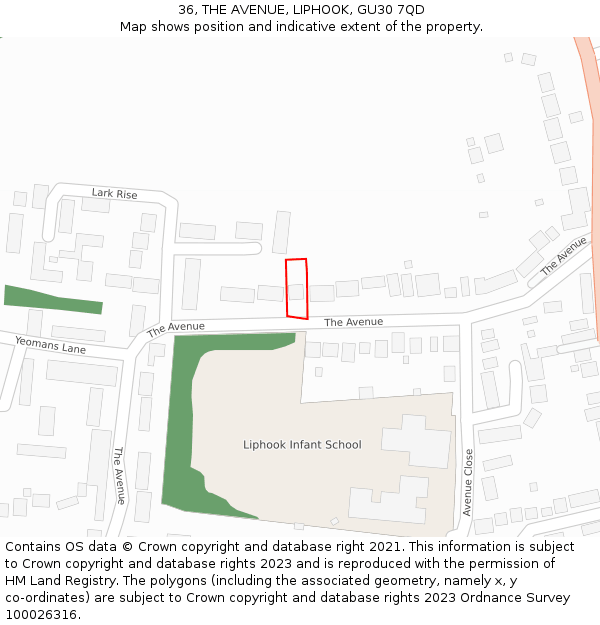 36, THE AVENUE, LIPHOOK, GU30 7QD: Location map and indicative extent of plot