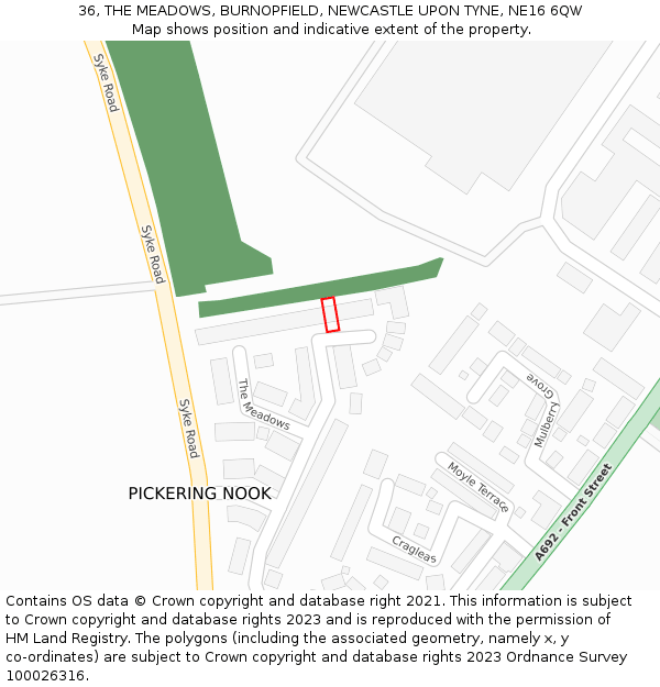 36, THE MEADOWS, BURNOPFIELD, NEWCASTLE UPON TYNE, NE16 6QW: Location map and indicative extent of plot