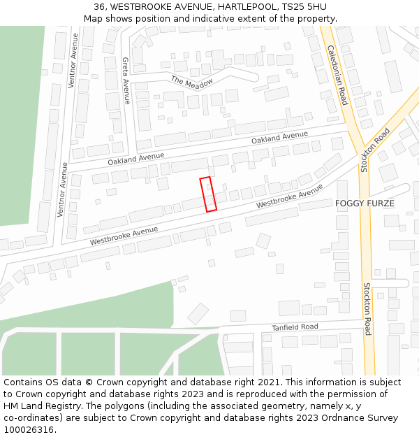 36, WESTBROOKE AVENUE, HARTLEPOOL, TS25 5HU: Location map and indicative extent of plot