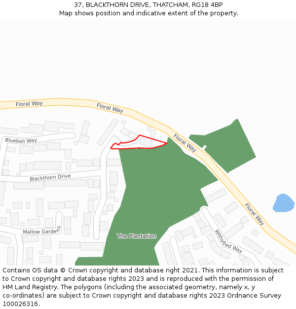 37, BLACKTHORN DRIVE, THATCHAM, RG18 4BP: Location map and indicative extent of plot