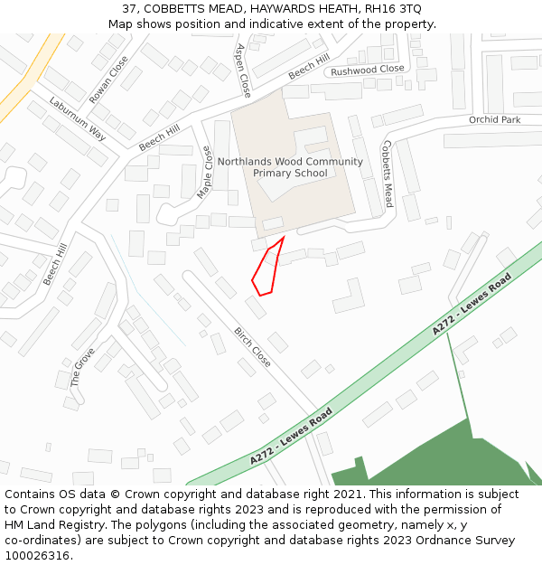 37, COBBETTS MEAD, HAYWARDS HEATH, RH16 3TQ: Location map and indicative extent of plot