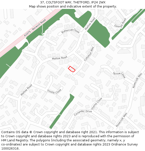 37, COLTSFOOT WAY, THETFORD, IP24 2WX: Location map and indicative extent of plot