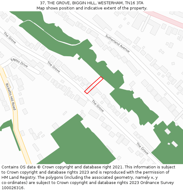 37, THE GROVE, BIGGIN HILL, WESTERHAM, TN16 3TA: Location map and indicative extent of plot