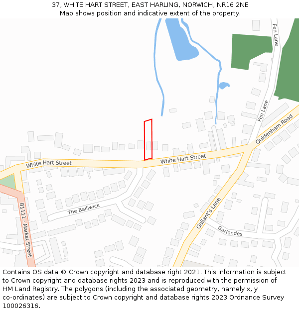 37, WHITE HART STREET, EAST HARLING, NORWICH, NR16 2NE: Location map and indicative extent of plot