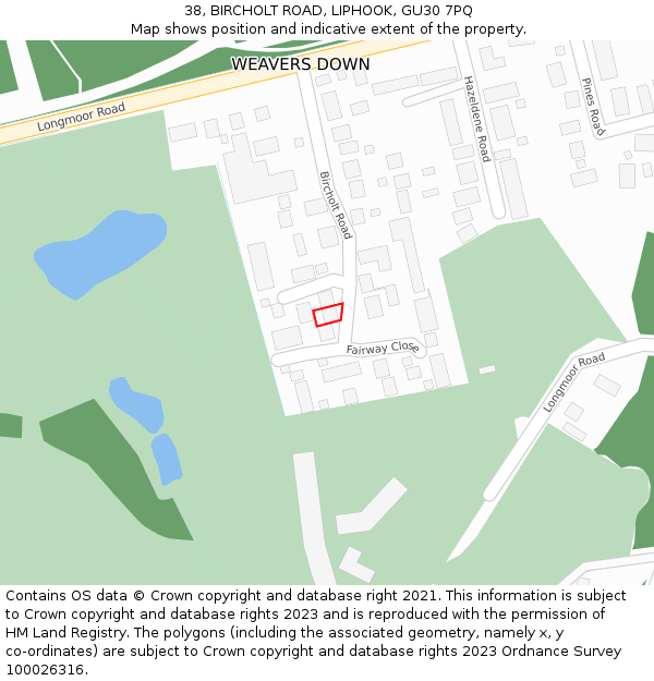 38, BIRCHOLT ROAD, LIPHOOK, GU30 7PQ: Location map and indicative extent of plot