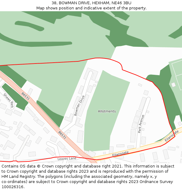 38, BOWMAN DRIVE, HEXHAM, NE46 3BU: Location map and indicative extent of plot