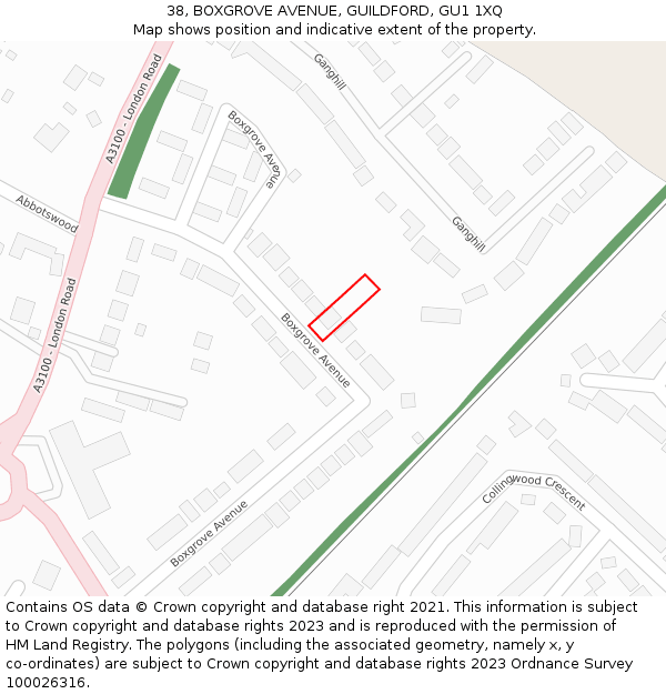 38, BOXGROVE AVENUE, GUILDFORD, GU1 1XQ: Location map and indicative extent of plot