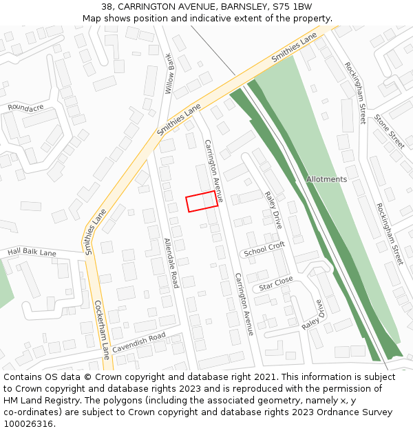 38, CARRINGTON AVENUE, BARNSLEY, S75 1BW: Location map and indicative extent of plot