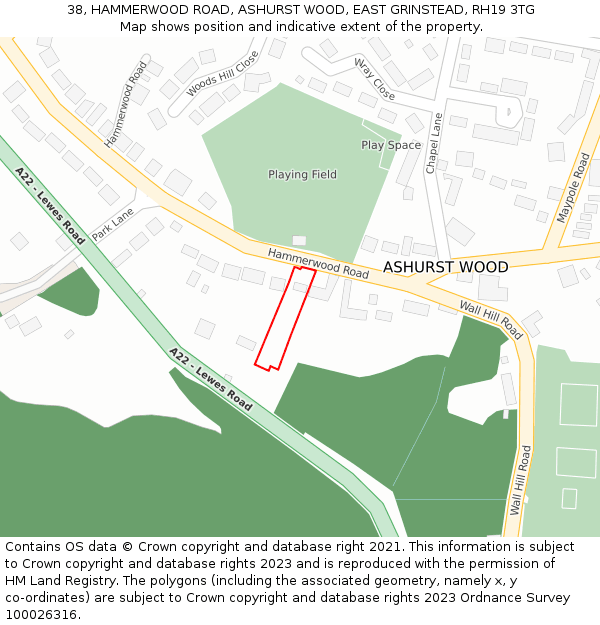 38, HAMMERWOOD ROAD, ASHURST WOOD, EAST GRINSTEAD, RH19 3TG: Location map and indicative extent of plot