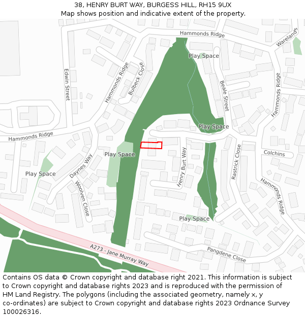 38, HENRY BURT WAY, BURGESS HILL, RH15 9UX: Location map and indicative extent of plot