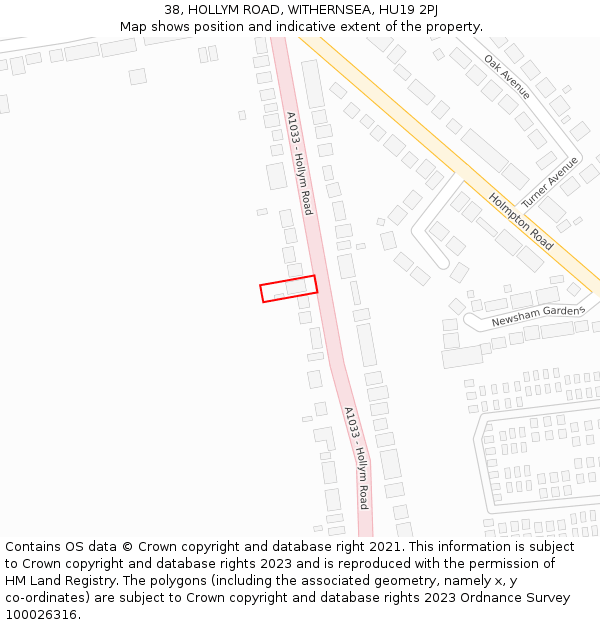 38, HOLLYM ROAD, WITHERNSEA, HU19 2PJ: Location map and indicative extent of plot