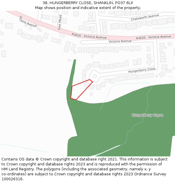 38, HUNGERBERRY CLOSE, SHANKLIN, PO37 6LX: Location map and indicative extent of plot