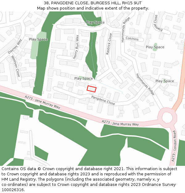 38, PANGDENE CLOSE, BURGESS HILL, RH15 9UT: Location map and indicative extent of plot