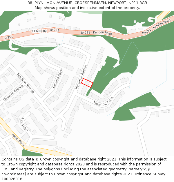 38, PLYNLIMON AVENUE, CROESPENMAEN, NEWPORT, NP11 3GR: Location map and indicative extent of plot