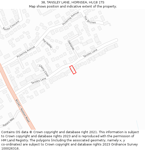 38, TANSLEY LANE, HORNSEA, HU18 1TS: Location map and indicative extent of plot
