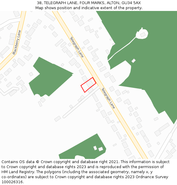 38, TELEGRAPH LANE, FOUR MARKS, ALTON, GU34 5AX: Location map and indicative extent of plot