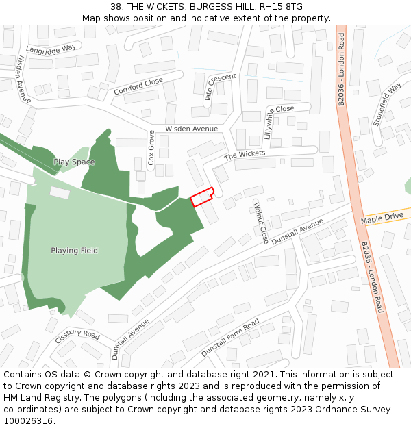 38, THE WICKETS, BURGESS HILL, RH15 8TG: Location map and indicative extent of plot