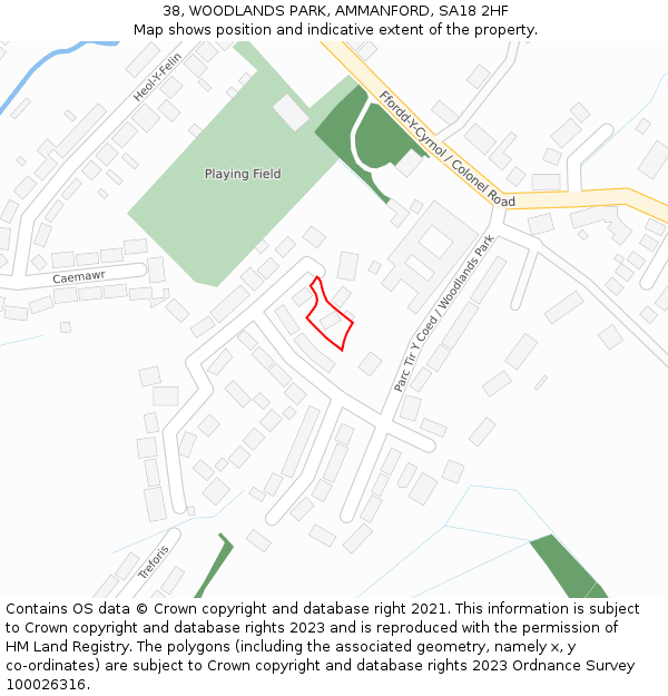 38, WOODLANDS PARK, AMMANFORD, SA18 2HF: Location map and indicative extent of plot