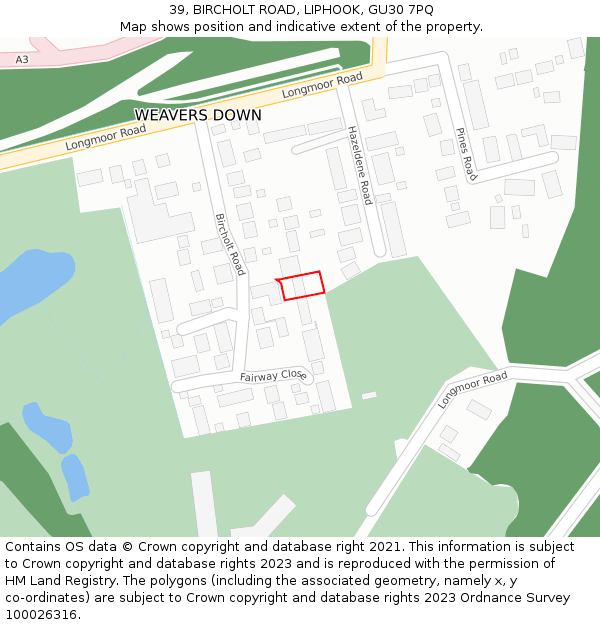 39, BIRCHOLT ROAD, LIPHOOK, GU30 7PQ: Location map and indicative extent of plot