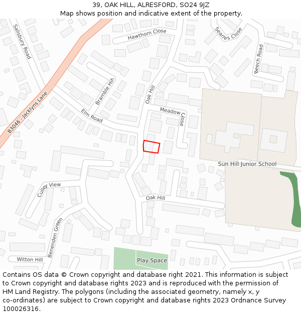 39, OAK HILL, ALRESFORD, SO24 9JZ: Location map and indicative extent of plot