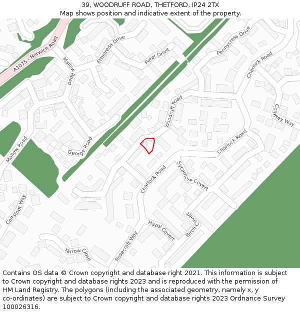 39, WOODRUFF ROAD, THETFORD, IP24 2TX: Location map and indicative extent of plot