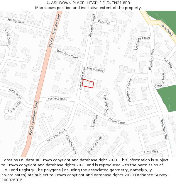 4, ASHDOWN PLACE, HEATHFIELD, TN21 8ER: Location map and indicative extent of plot