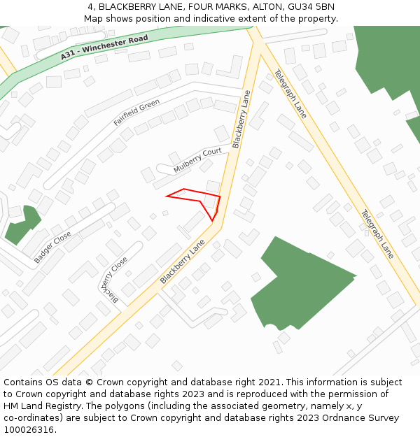 4, BLACKBERRY LANE, FOUR MARKS, ALTON, GU34 5BN: Location map and indicative extent of plot