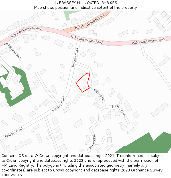 4, BRASSEY HILL, OXTED, RH8 0ES: Location map and indicative extent of plot