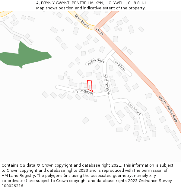 4, BRYN Y GWYNT, PENTRE HALKYN, HOLYWELL, CH8 8HU: Location map and indicative extent of plot