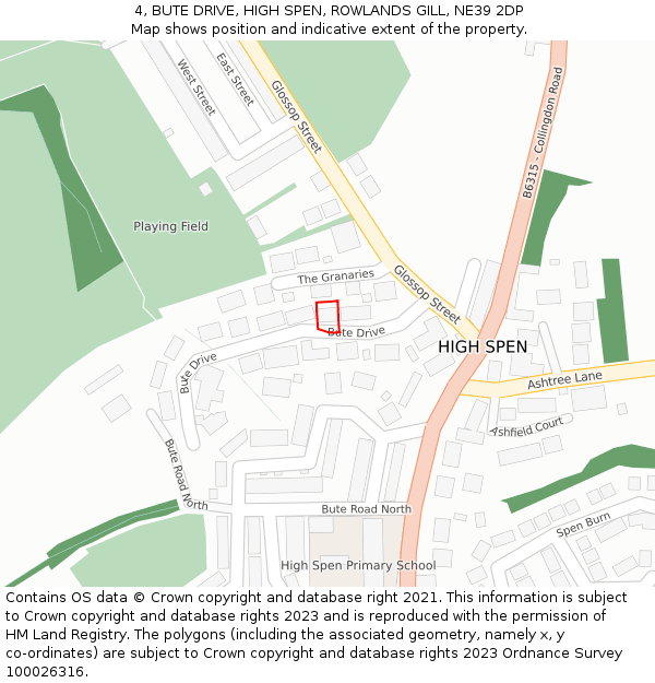 4, BUTE DRIVE, HIGH SPEN, ROWLANDS GILL, NE39 2DP: Location map and indicative extent of plot