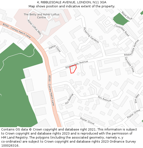 4, RIBBLESDALE AVENUE, LONDON, N11 3GA: Location map and indicative extent of plot