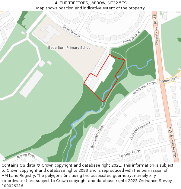 4, THE TREETOPS, JARROW, NE32 5ES: Location map and indicative extent of plot