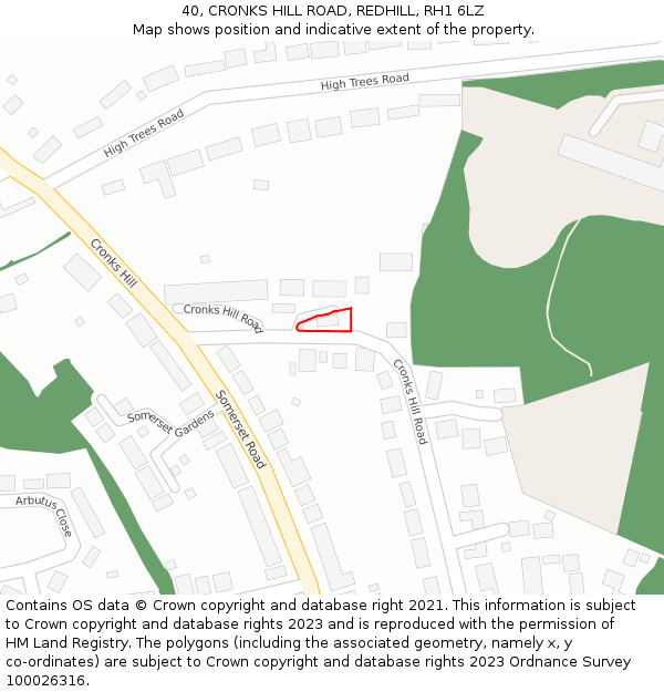 40, CRONKS HILL ROAD, REDHILL, RH1 6LZ: Location map and indicative extent of plot