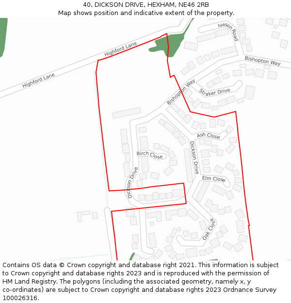 40, DICKSON DRIVE, HEXHAM, NE46 2RB: Location map and indicative extent of plot