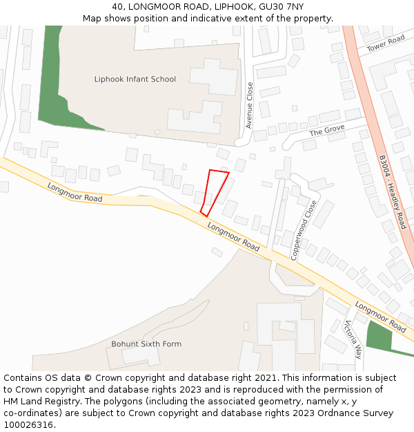 40, LONGMOOR ROAD, LIPHOOK, GU30 7NY: Location map and indicative extent of plot