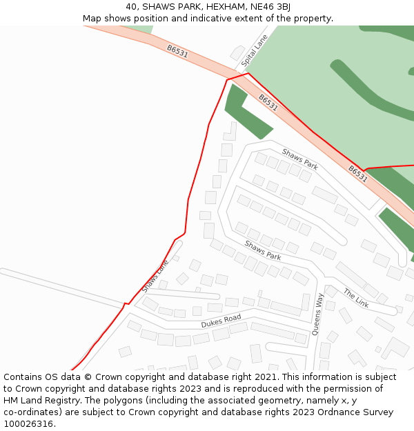 40, SHAWS PARK, HEXHAM, NE46 3BJ: Location map and indicative extent of plot