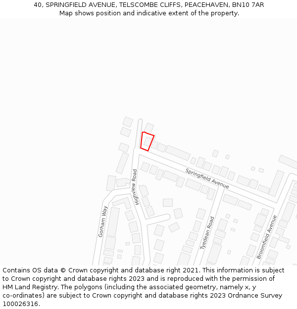 40, SPRINGFIELD AVENUE, TELSCOMBE CLIFFS, PEACEHAVEN, BN10 7AR: Location map and indicative extent of plot