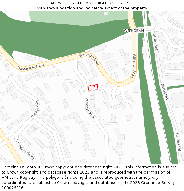 40, WITHDEAN ROAD, BRIGHTON, BN1 5BL: Location map and indicative extent of plot