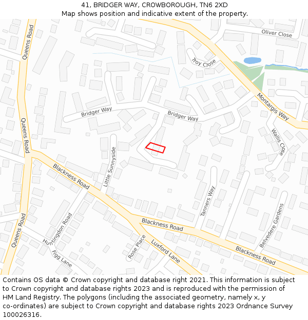 41, BRIDGER WAY, CROWBOROUGH, TN6 2XD: Location map and indicative extent of plot