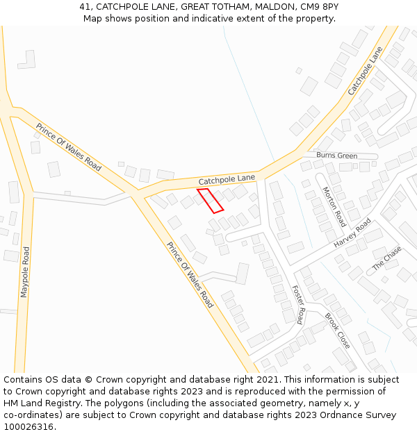 41, CATCHPOLE LANE, GREAT TOTHAM, MALDON, CM9 8PY: Location map and indicative extent of plot