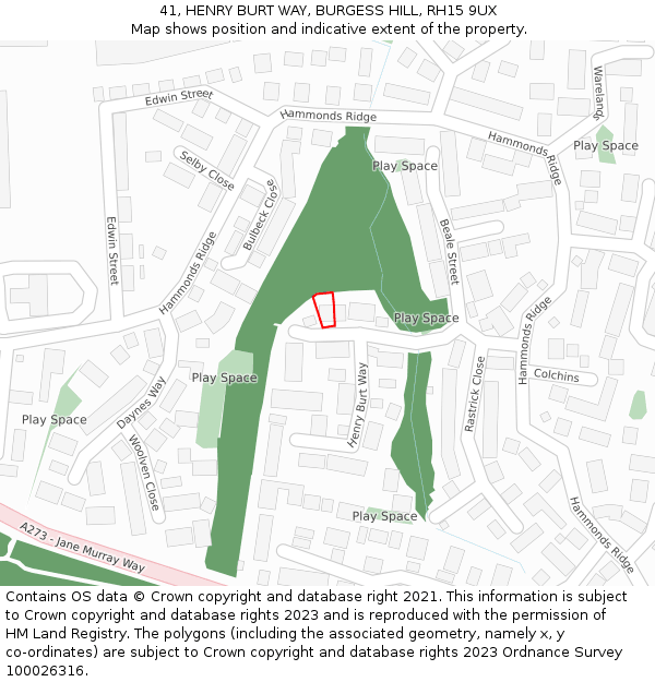 41, HENRY BURT WAY, BURGESS HILL, RH15 9UX: Location map and indicative extent of plot