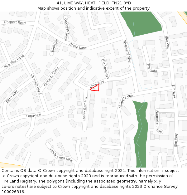 41, LIME WAY, HEATHFIELD, TN21 8YB: Location map and indicative extent of plot