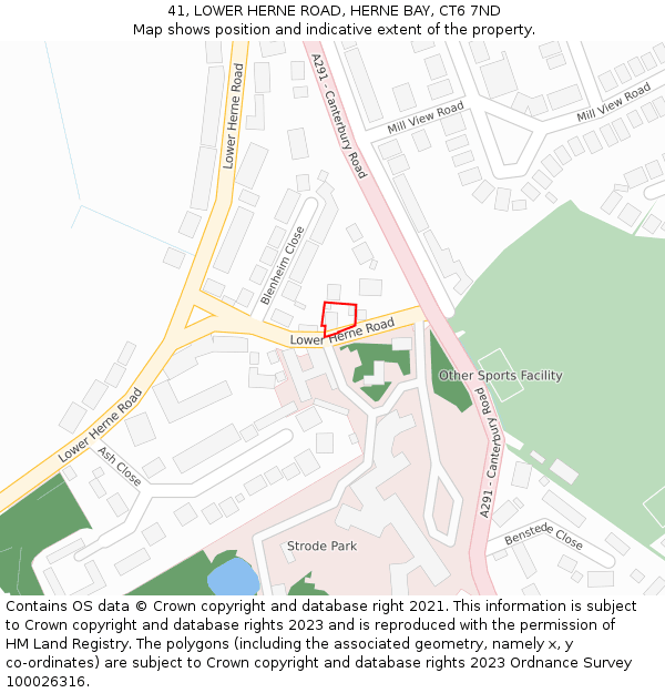 41, LOWER HERNE ROAD, HERNE BAY, CT6 7ND: Location map and indicative extent of plot