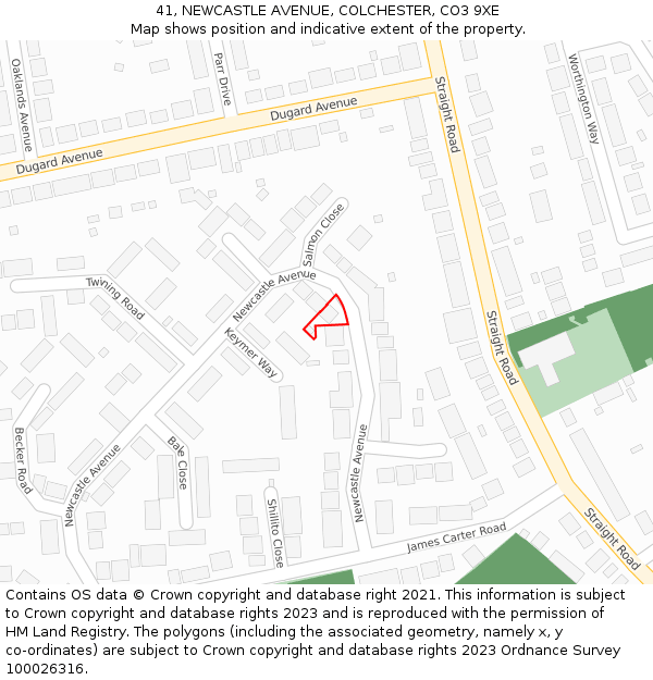 41, NEWCASTLE AVENUE, COLCHESTER, CO3 9XE: Location map and indicative extent of plot